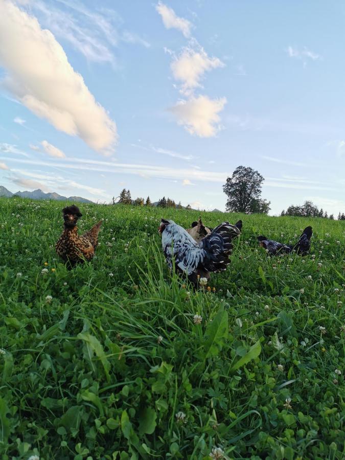Burglehnerhof Aparthotel Ramsau am Dachstein Kültér fotó