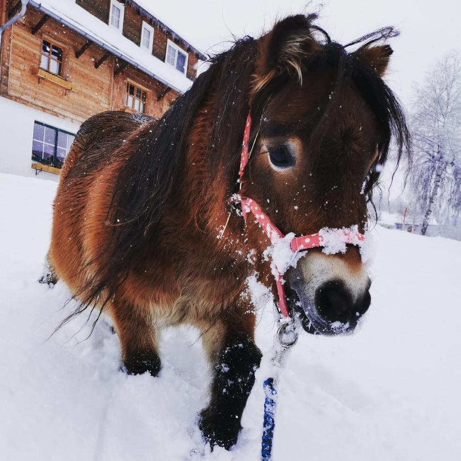 Burglehnerhof Aparthotel Ramsau am Dachstein Kültér fotó