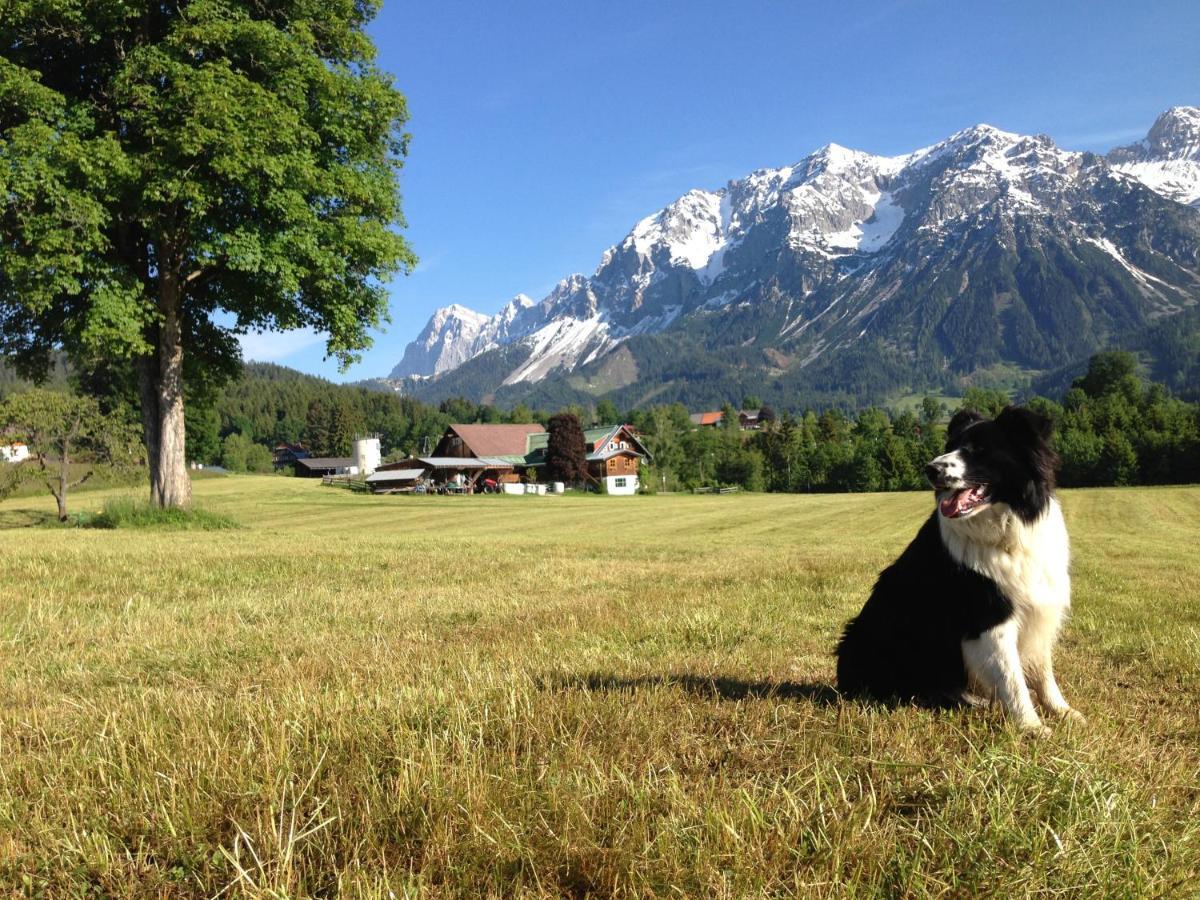 Burglehnerhof Aparthotel Ramsau am Dachstein Kültér fotó