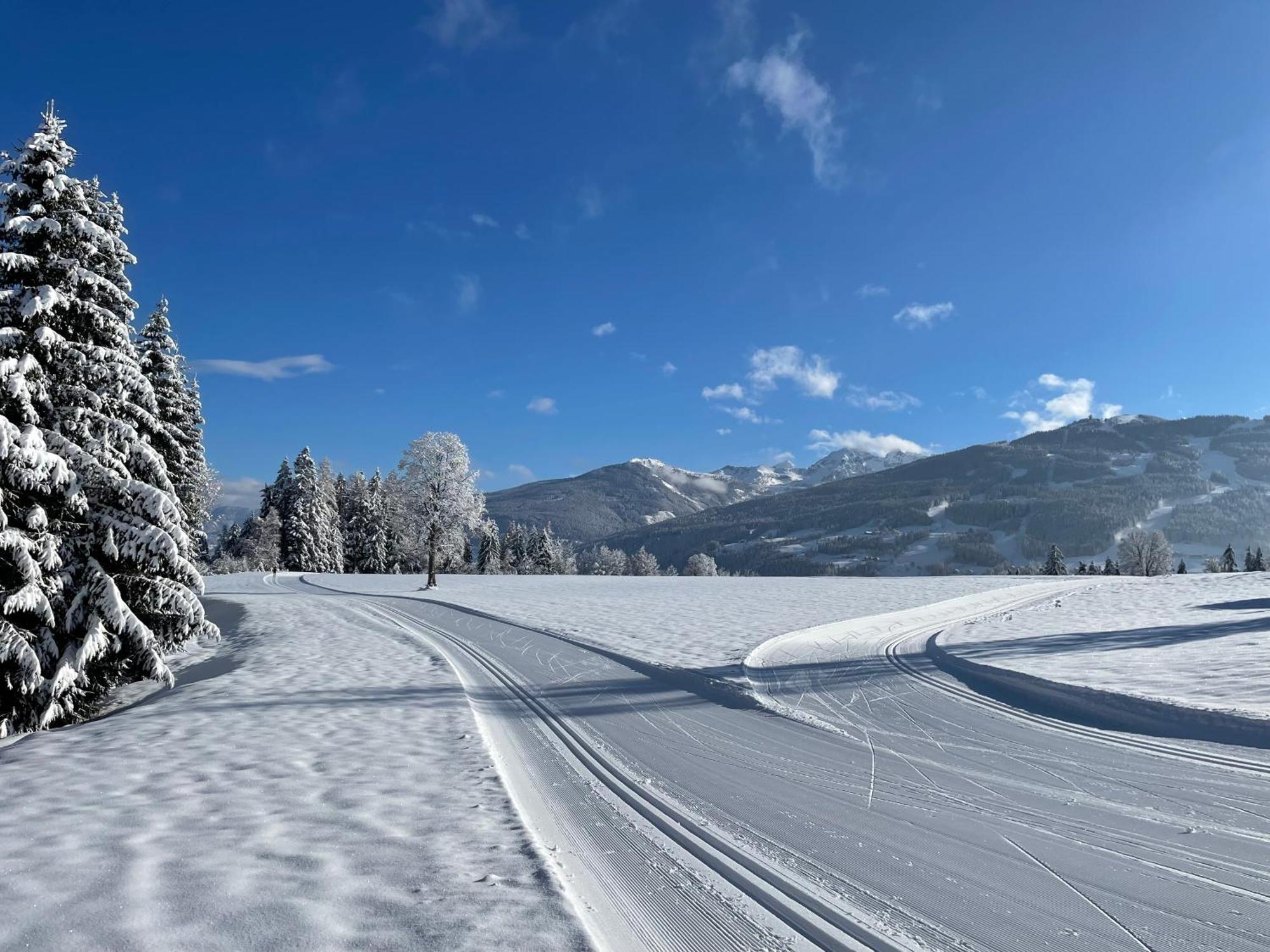 Burglehnerhof Aparthotel Ramsau am Dachstein Kültér fotó